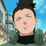 Paburo's profile picture