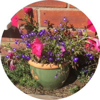 Elena's profile picture