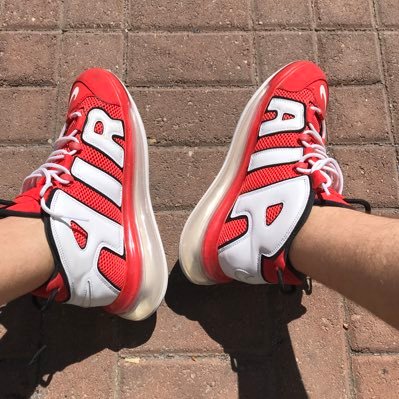 bearsnkicks's profile picture