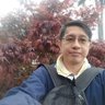 Lintc's profile picture