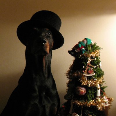 RicFederici's profile picture