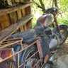 Profilbild von Trash team