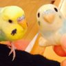 s k's profile picture