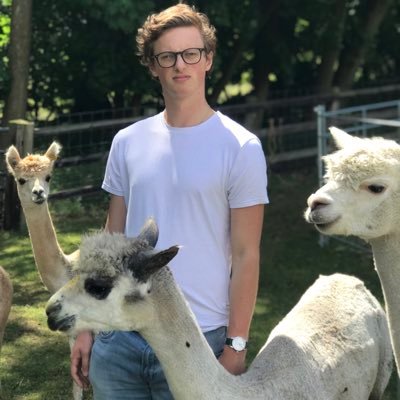 Max Fosh's profile picture