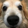 Gravel Gerty's profile picture