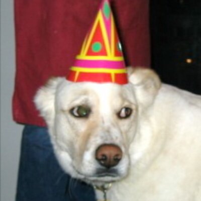 JonahDispatch's profile picture
