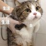 MARS's profile picture