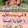 وطن حره profil fotoğrafı
