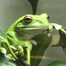 Фото профиля メガネ