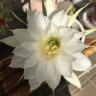 すな profil fotoğrafı