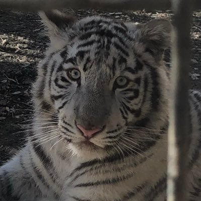takatukiaran's profile picture