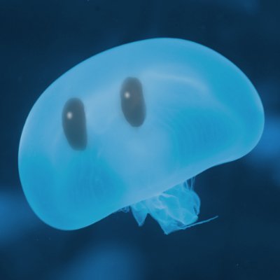 Shiratch's profile picture