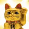 にしやん profil fotoğrafı