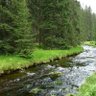 Фото профиля Eng.Bander