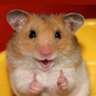 MikeBike's profile picture