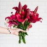 Фото профиля Lauren Man