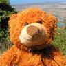 Sarah Boyd's profile picture