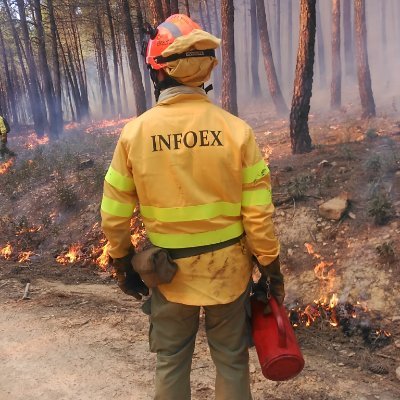Matefireman's profile picture