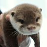 Profilbild von Kaktuskreisel