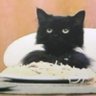 Profilbild von Pasta Kev