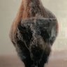 Tim White's profile picture