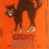 cichykot profil fotoğrafı