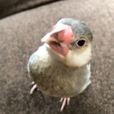 ぱる(*'▽'*)るい&いぶうぶ💕's profile picture