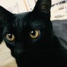Profilbild von リンリン♪