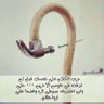 عوض الوادعي's profile picture