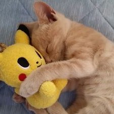 じん@ポケモンGO's profile picture