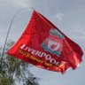 Profilbild von Reds All Over the World