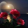 رحمتك ياالله's profile picture