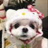 Por_yukira 的头像