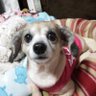 てらやん profil fotoğrafı