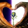 Profilbild von Mustafa Caliskan