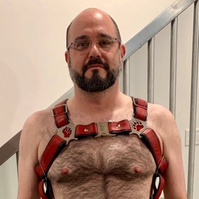 DaddyBearRyte's profile picture