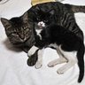 小泊徹彦 profil fotoğrafı
