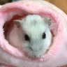 大ちゃん profil fotoğrafı