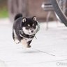 まめ松's profile picture