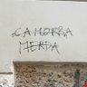 José Cardoso's profile picture
