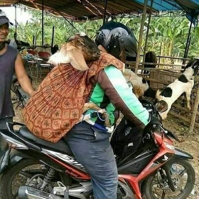 erde27's profile picture