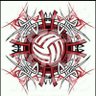 volleyveki18's profile picture