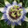 mckalav profil fotoğrafı