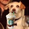 Marcela Adriana 🫀's profile picture