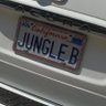 JungleBoy profil fotoğrafı