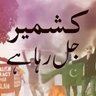 Tabish Ikram's profile picture