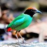 Фото профиля Cryptoandbetta