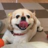Фото профиля ちーちゃん