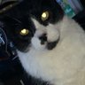 Фото профиля Kat