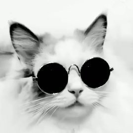Wladek_Z's profile picture